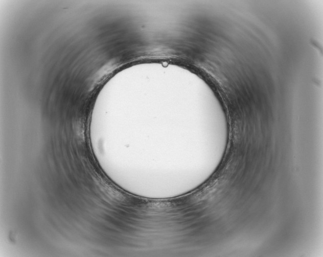 X0000098141451200805081009