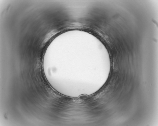 X0000098141453200805081009