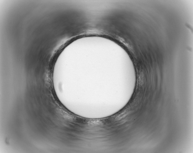 X0000098141454200805081009