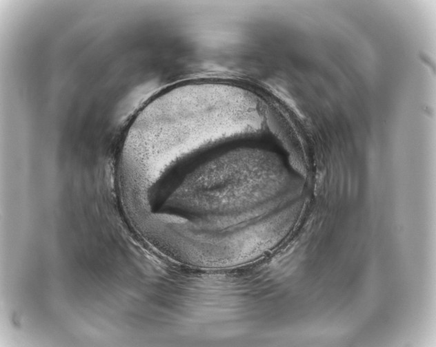X0000098141455200805081009