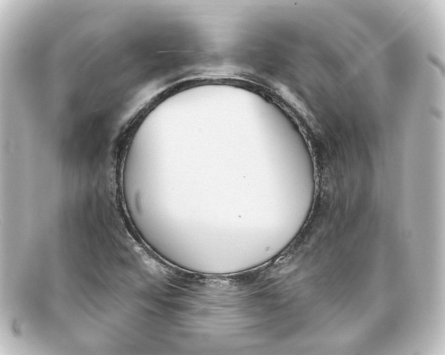X0000098141456200805081009