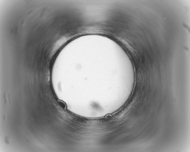 X0000098141461200805081009