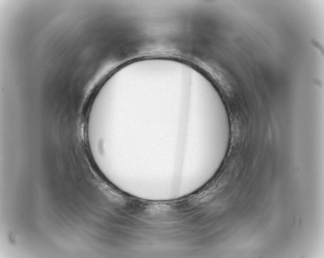 X0000098141462200805081009