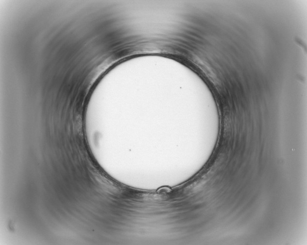 X0000098141465200805081009