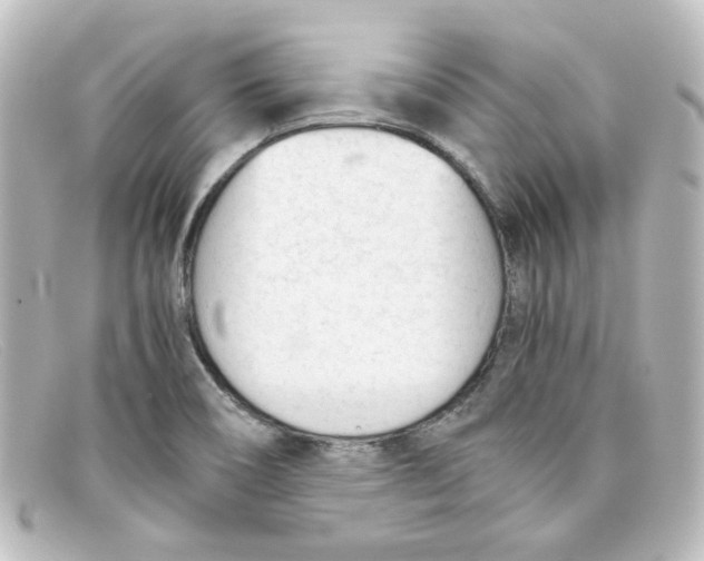 X0000098141466200805081009