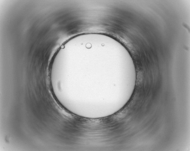 X0000098141470200805081009