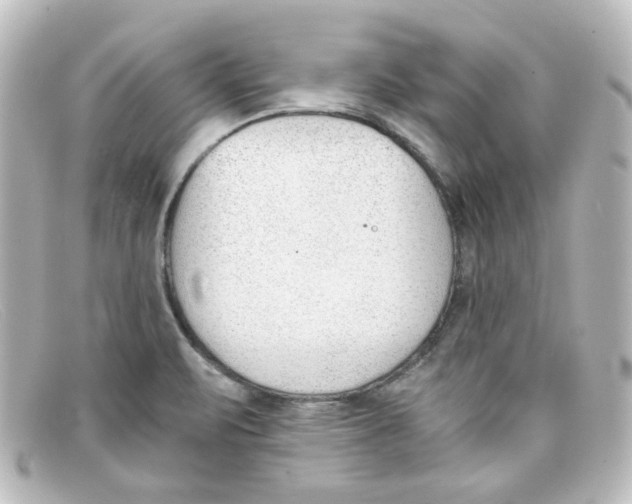 X0000098141471200805081009