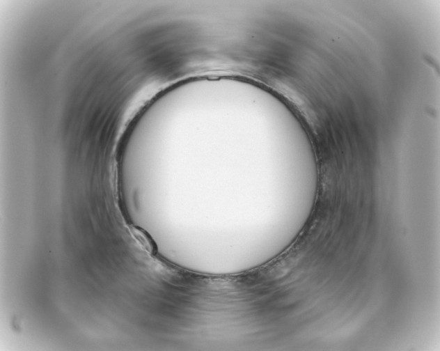 X0000098141472200805081009