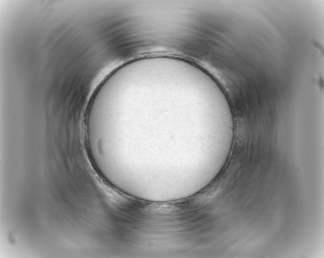 X0000098141474200805081009