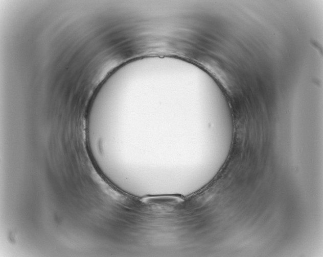 X0000098141476200805081009