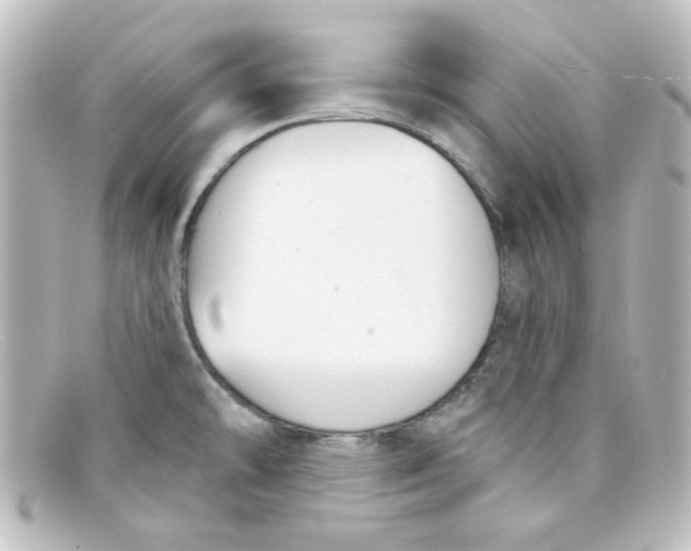 X0000098141478200805081009