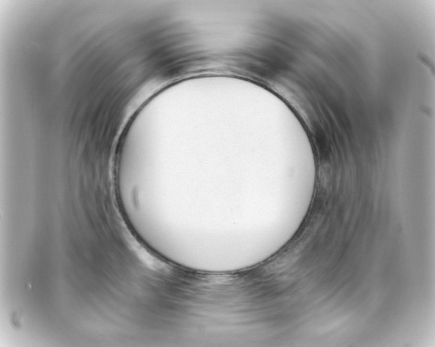 X0000098141482200805081009