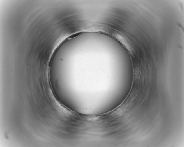 X0000098141484200805081009