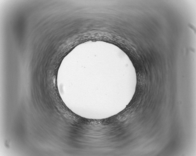 X0000098141489200805081008