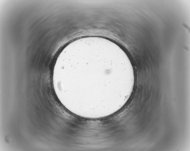 X0000098141498200805081008