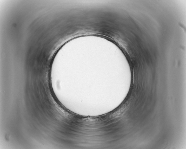 X0000098141500200805081008