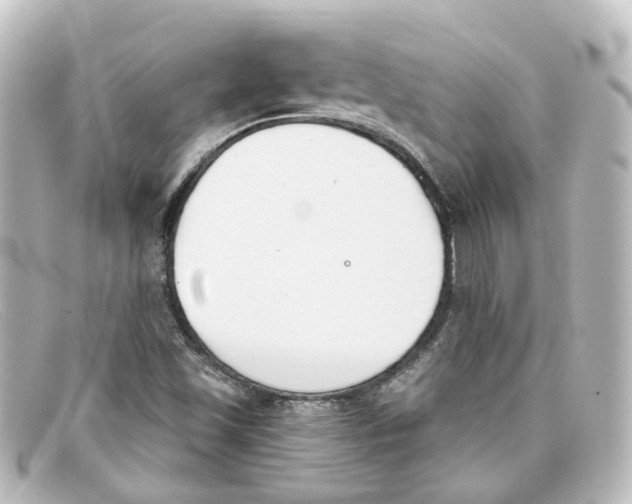 X0000098141501200805081008