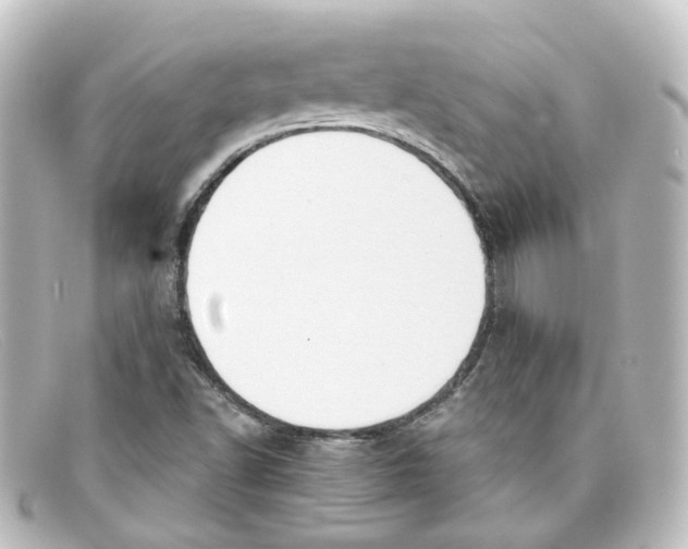 X0000098141502200805081008