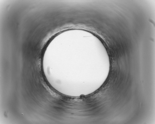 X0000098141503200805081008