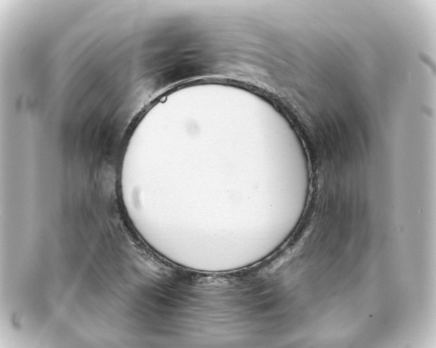 X0000098141505200805081008