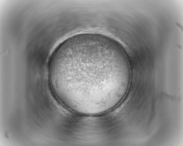 X0000098141506200805081008
