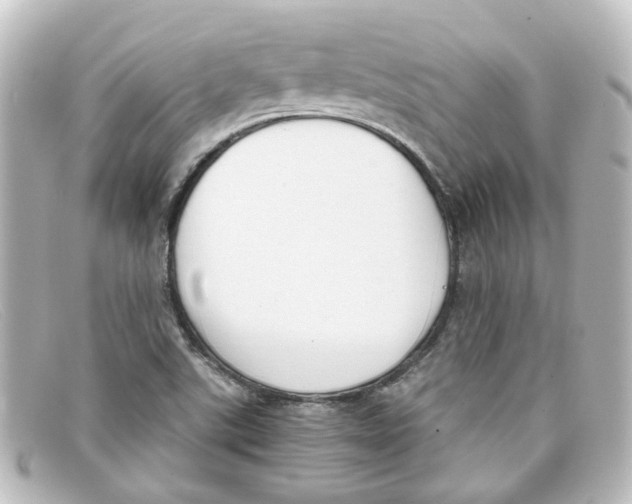 X0000098141507200805081008