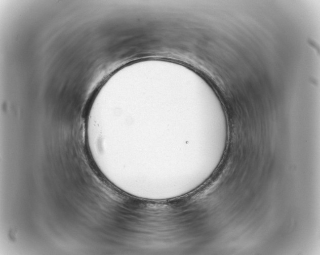 X0000098141509200805081008