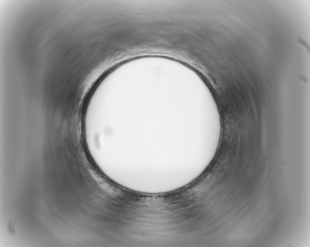 X0000098141511200805081008