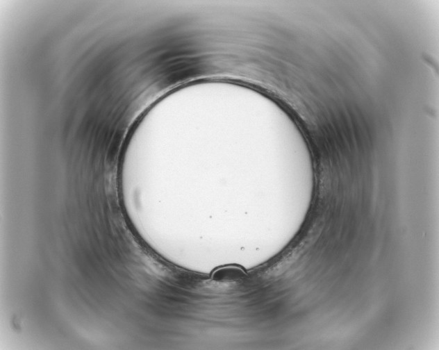 X0000098141513200805081009