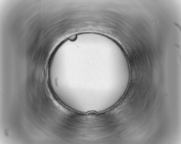 X0000098141515200805081009