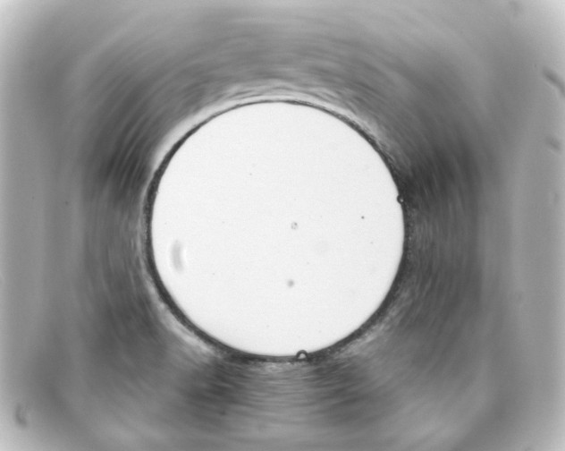 X0000098141518200805081009