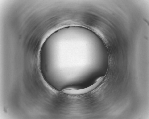 X0000098141528200805081009