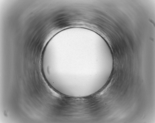 X0000098141533200805081009