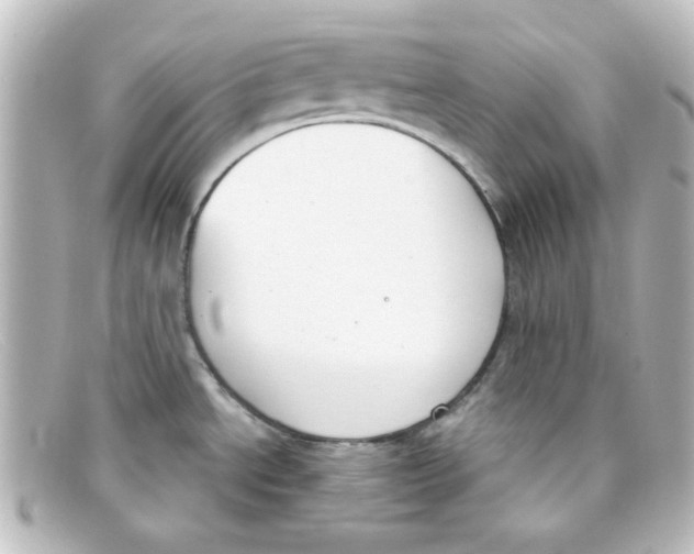 X0000098141534200805081009