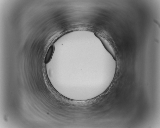 X0000098140001200805151152