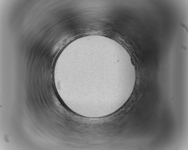 X0000098140002200805151152