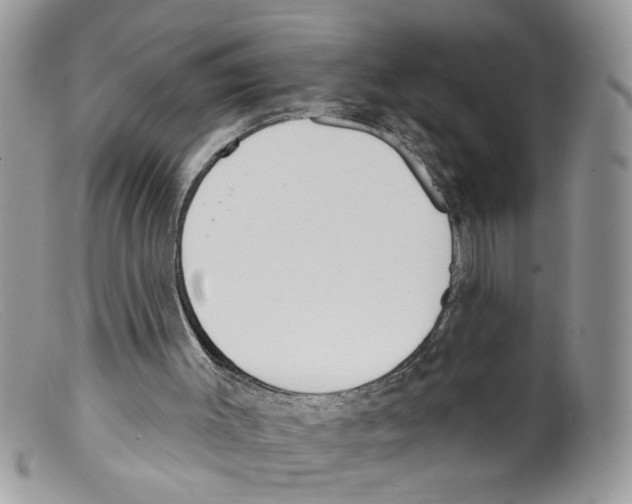 X0000098140003200805151152