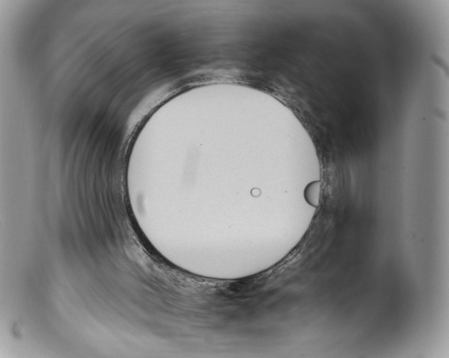 X0000098140004200805151152