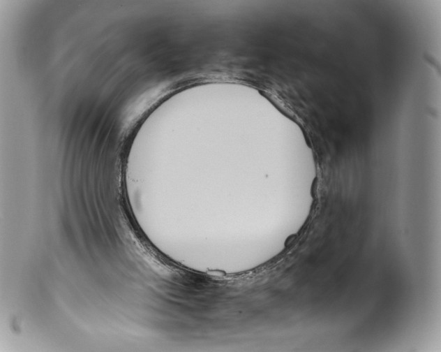 X0000098140005200805151152