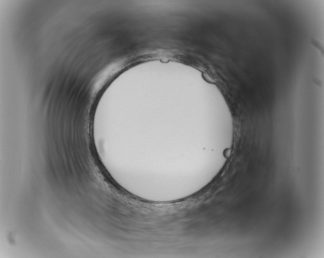 X0000098140006200805151152