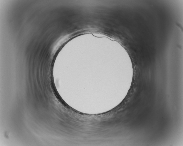 X0000098140007200805151151