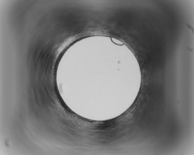 X0000098140008200805151151