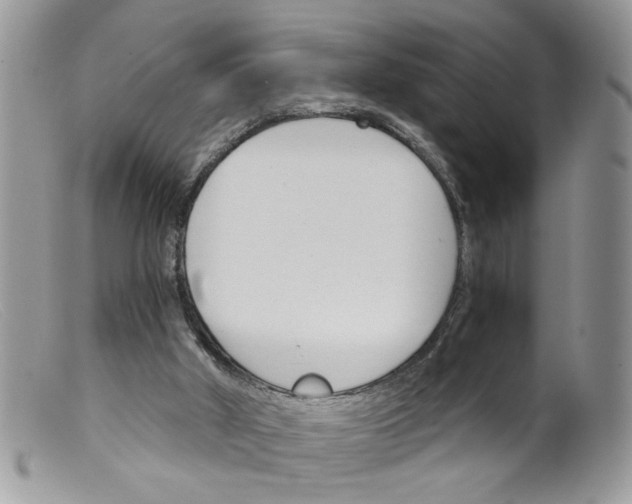 X0000098140010200805151151