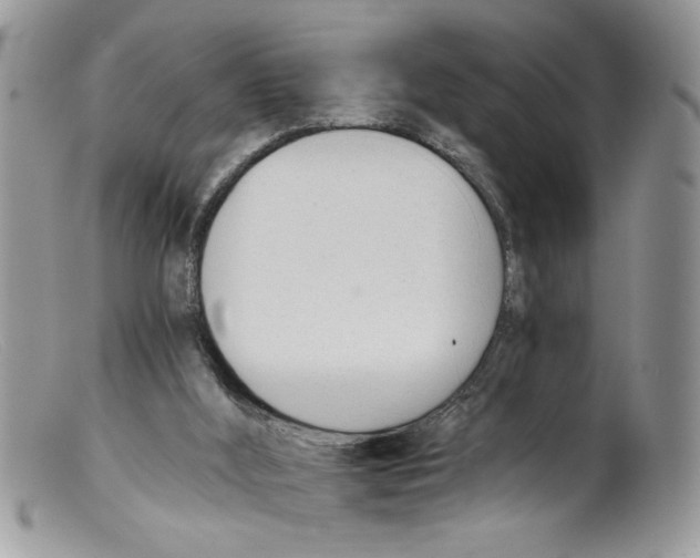 X0000098140012200805151151