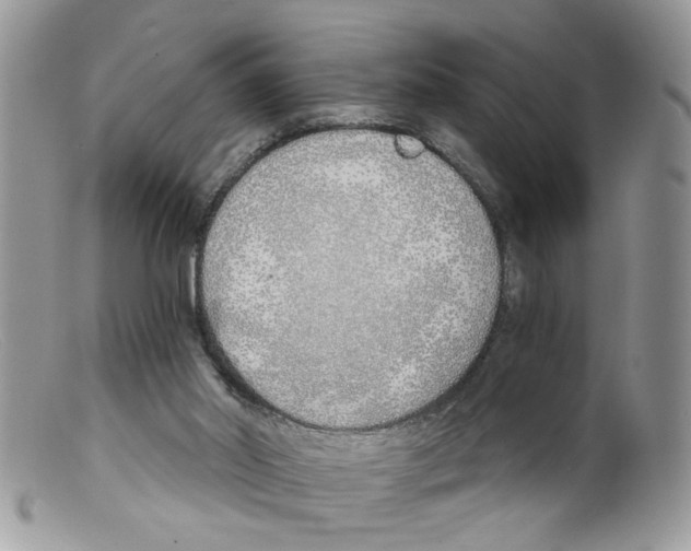 X0000098140014200805151151