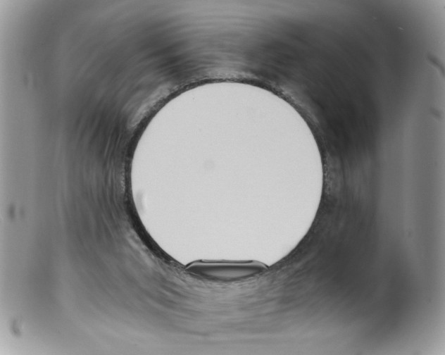 X0000098140015200805151151