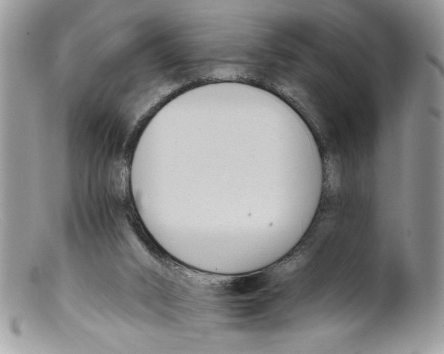 X0000098140016200805151151