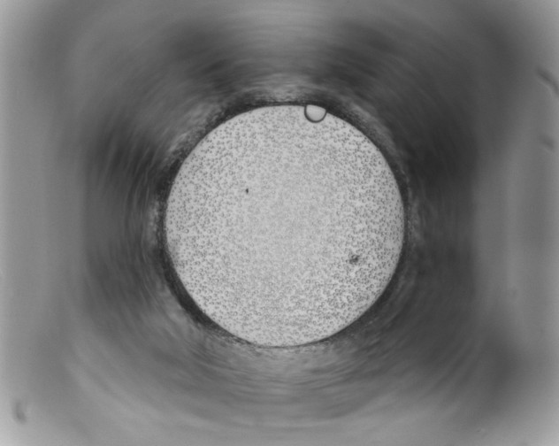 X0000098140018200805151151