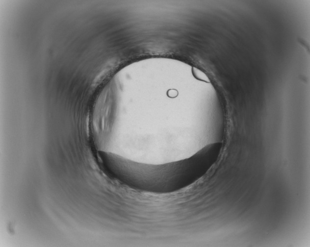 X0000098140019200805151151