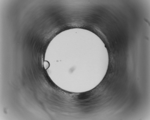 X0000098140020200805151151